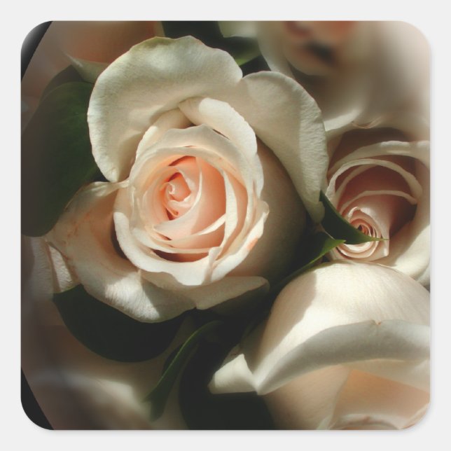 Soft Rose Envelope Sticker (Front)