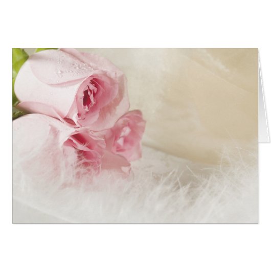 Soft roses and feathers cards (Front Horizontal)
