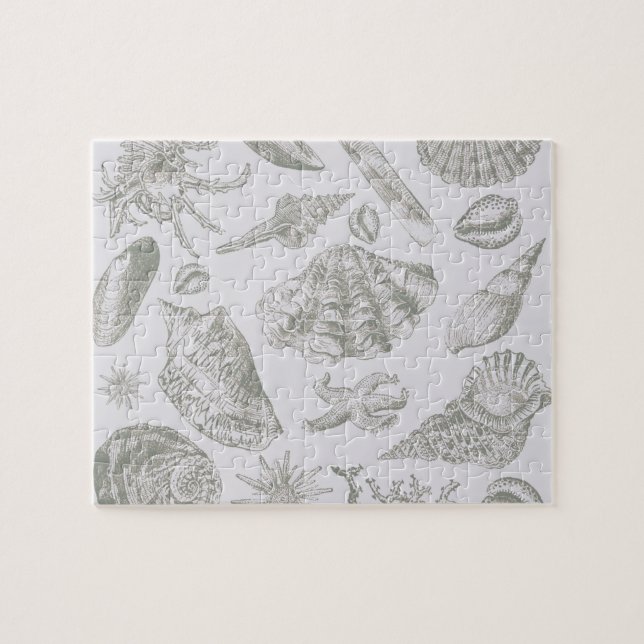 Soft Sage Gray Seashell Sketch Antique Nature Jigsaw Puzzle (Horizontal)