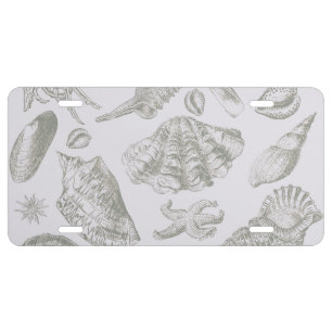 Soft Sage Gray Seashell Sketch Antique Nature License Plate