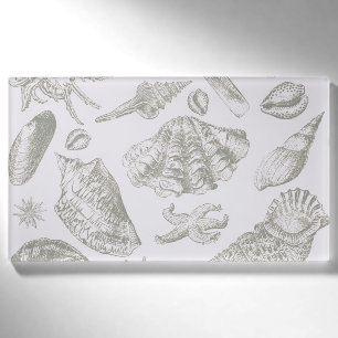 Soft Sage Gray Seashell Sketch Antique Nature Name Tag