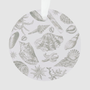 Soft Sage Gray Seashell Sketch Antique Nature Ornament