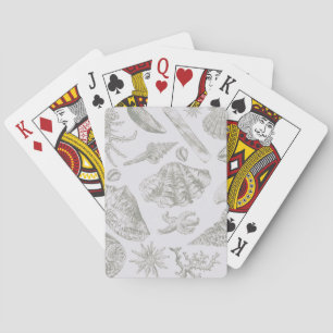 Soft Sage Gray Seashell Sketch Antique Nature Poker Cards