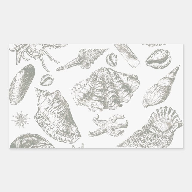 Soft Sage Gray Seashell Sketch Antique Nature Rectangular Sticker (Front)