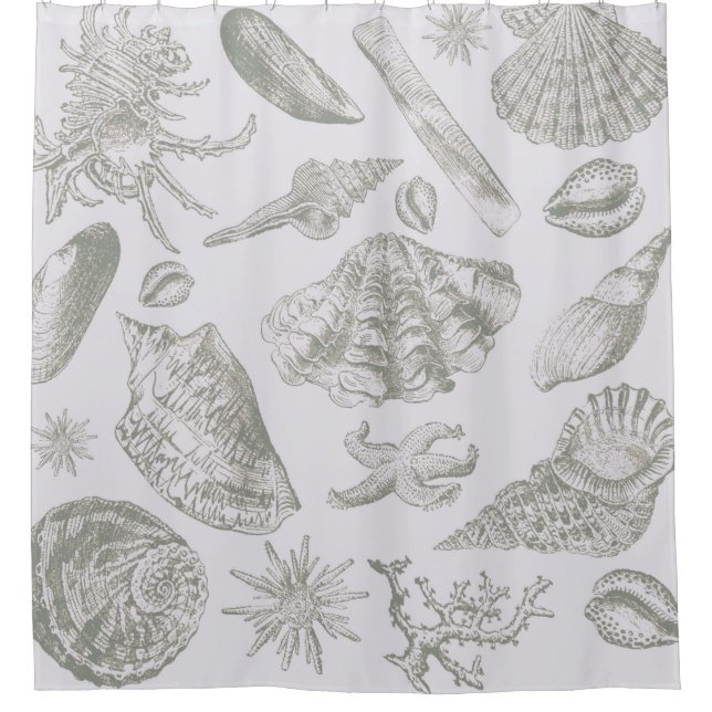 Soft Sage Gray Seashell Sketch Antique Nature Shower Curtain (Front)