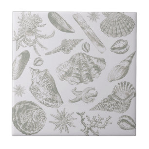 Soft Sage Gray Seashell Sketch Antique Nature Tile