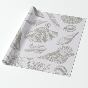 Soft Sage Gray Seashell Sketch Antique Nature Wrapping Paper