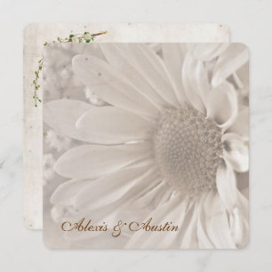 Soft Sepia Wedding Daisy Invitation