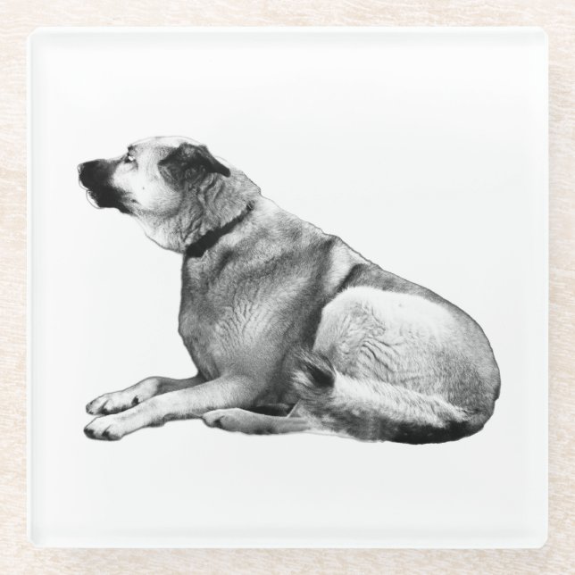 Soft Shadow Watch Glass Coaster (Front)