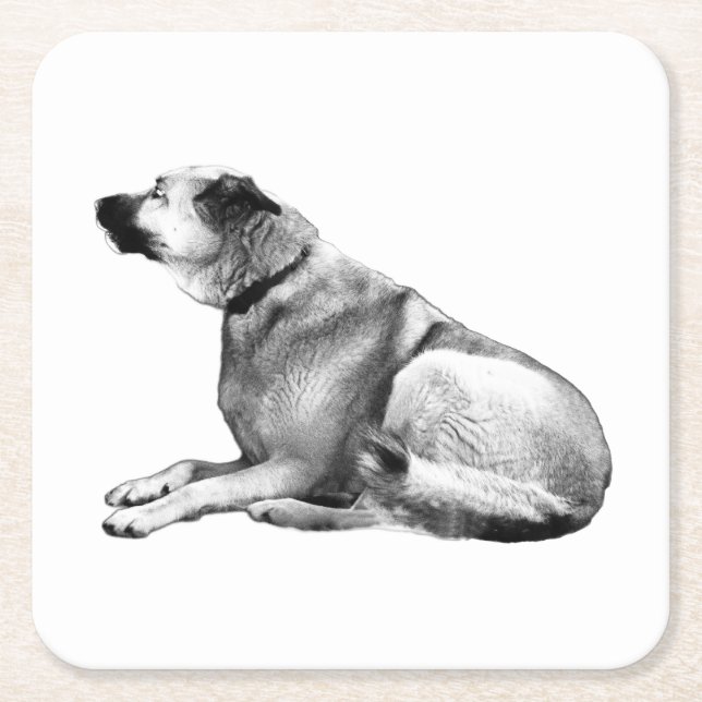 Soft Shadow Watch Square Paper Coaster (Front)