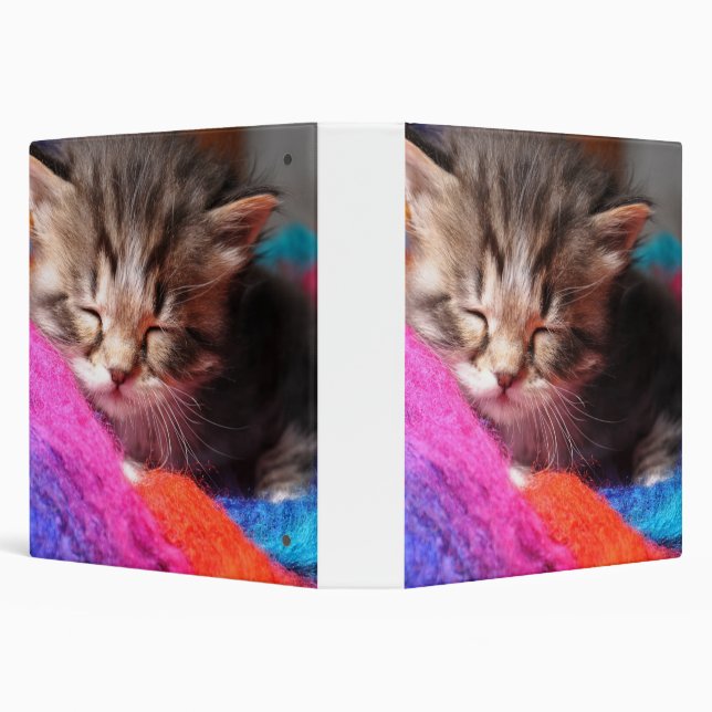 Soft Sleepy Newborn Kitten Phototgraph 3 Ring Binder (Background)