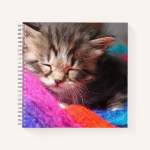 Soft Sleepy Newborn Kitten Phototgraph Notebook