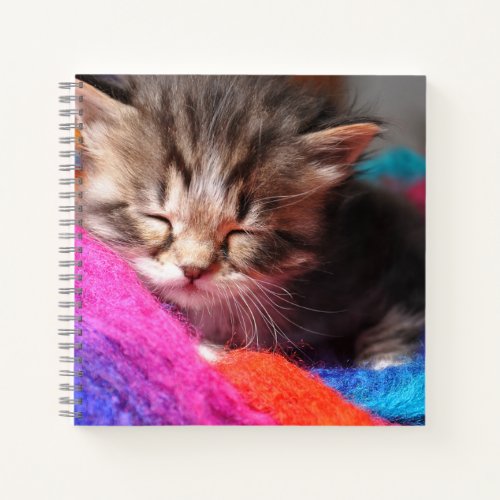 Soft Sleepy Newborn Kitten Phototgraph Notebook