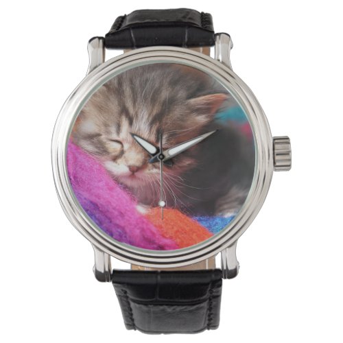 Soft Sleepy Newborn Kitten Phototgraph Watch