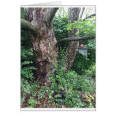 Soft summer rain (Front)