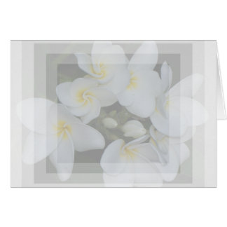 soft&sweet cards