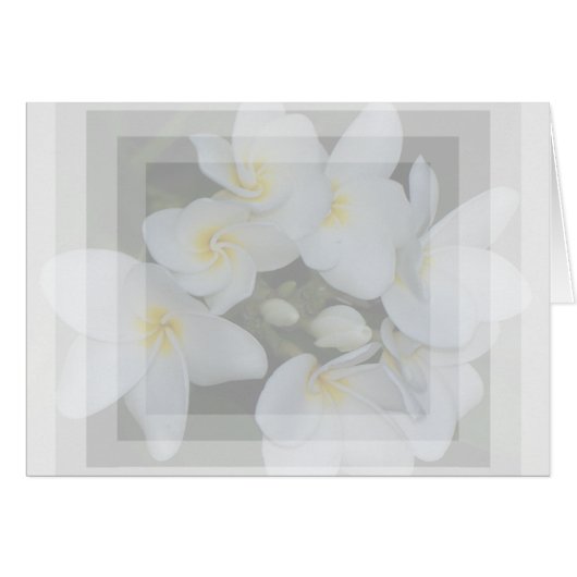 soft&sweet cards (Front Horizontal)