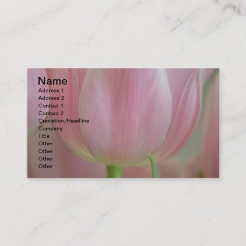 Soft Tulips Business Card