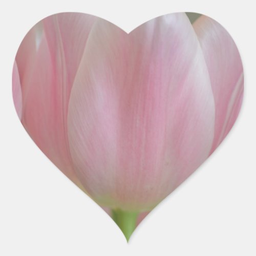 Soft Tulips Heart Sticker