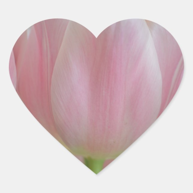 Soft Tulips Heart Sticker (Front)