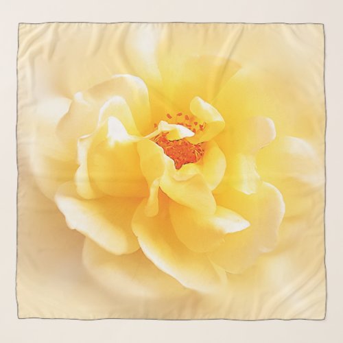 Soft Warm Yellow Rose Scarf