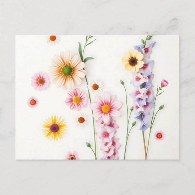 Soft Watercolor Daisies Delphiniums  Postcard (Front)