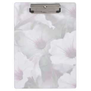 Soft White And Pink Petunias Clipboard