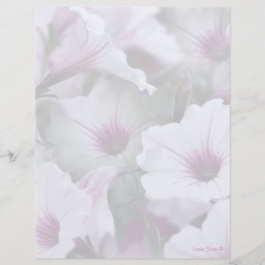 Soft White And Pink Petunias Letterhead (Front)
