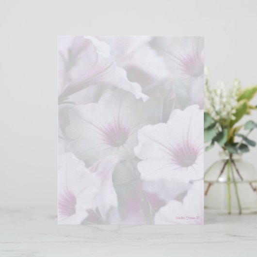 Soft White And Pink Petunias Letterhead (Standing Front)