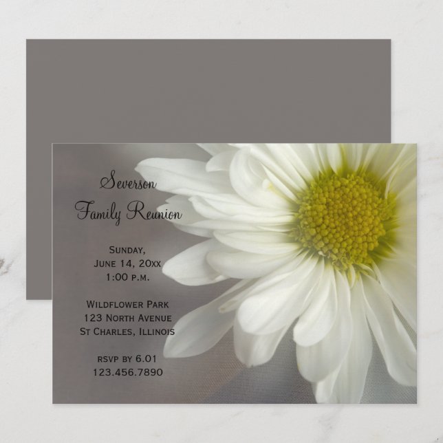 Soft White Daisy Family Reunion Invitation (Front/Back)