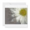 Soft White Daisy on Gray Bridal Shower