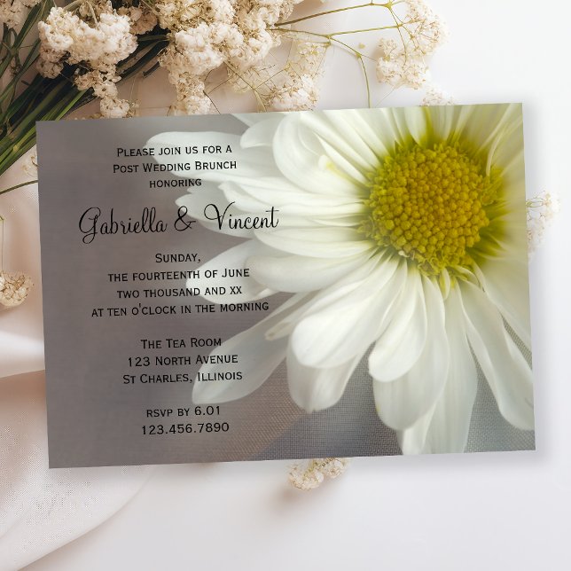 Soft White Daisy on Gray Post Wedding Brunch Invitation (Creator Uploaded)