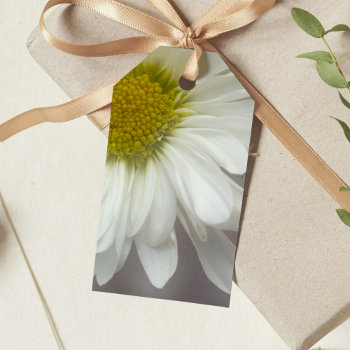 Soft White Daisy On Gray Wedding Favor Tags by loraseverson at Zazzle