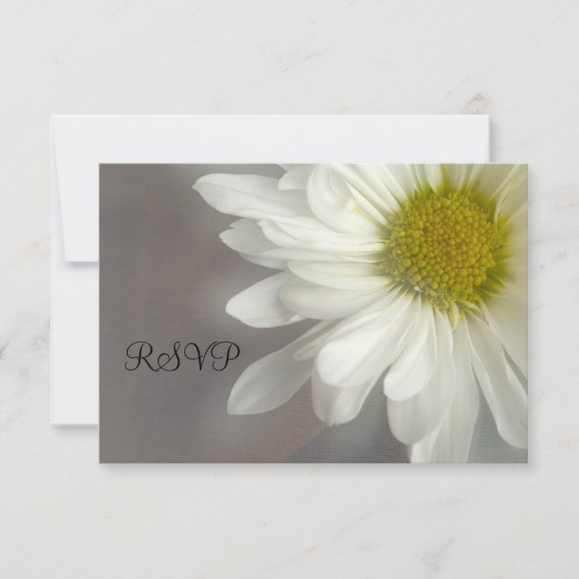 Soft White Daisy on Gray Wedding RSVP Card (Front)
