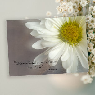 Soft White Daisy Thank You for Your Sympathy Card