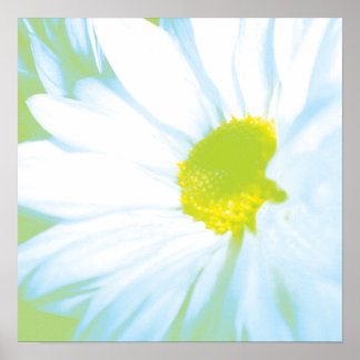 Soft White Flower Print