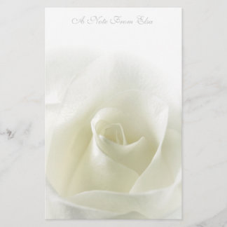 Soft White Rose Stationery