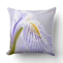 Soft Wild Iris