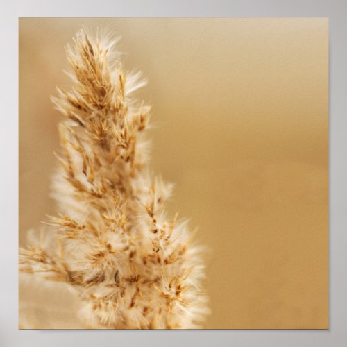 Soft Winds Canvas Poster