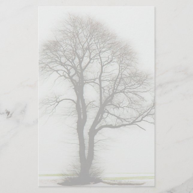 Soft winter tree stationery (Front)