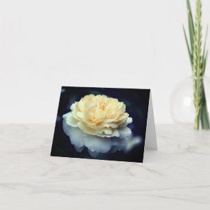 Soft Yellow Rose Flower Photography Note Card