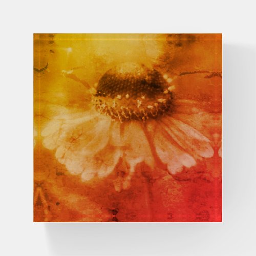 Soft Zinnia Daisy Flower In Sepia Vintage Paperweight