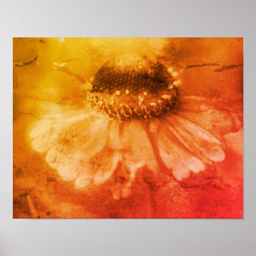 Soft Zinnia Daisy Flower In Sepia Vintage Poster