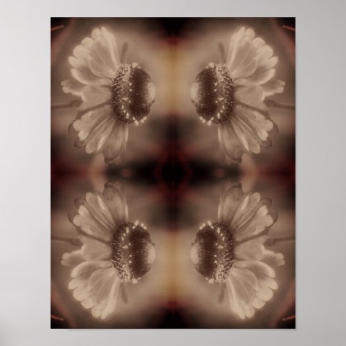 Soft Zinnia Daisy Flower In Vintage Sepia Abstract Poster