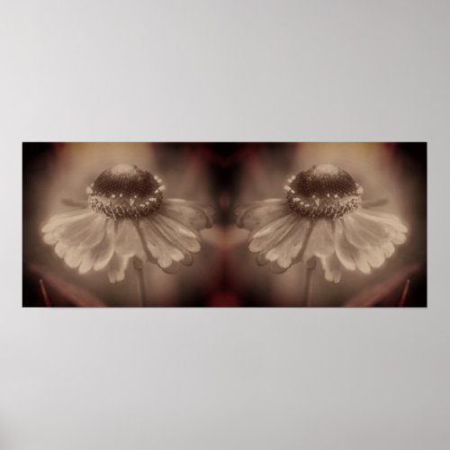 Soft Zinnia Daisy Flower Sepia Vintage Abstract Poster