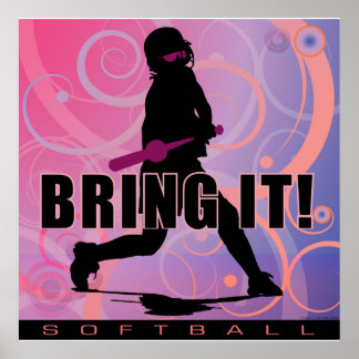 softball101 poster