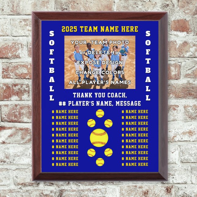 Softball Coach Gifts Ideas, Personalized Softball Award Plaque (Softball coach plaques. Gifts for softball seniors. Best gifts for softball players. Softball plaque)