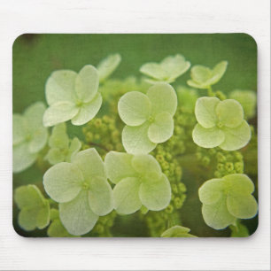 Softly Hydrangeas Mouse Pad