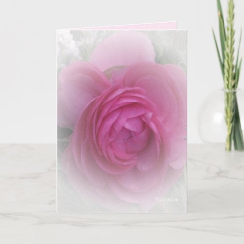 Softly Pink Card