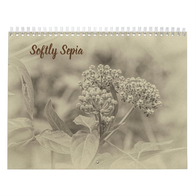 Softly Sepia Calendar (Cover)